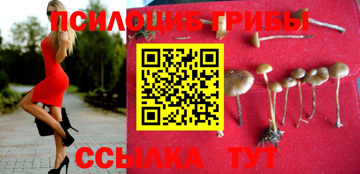 Галлюциногенные грибы Psilocybe  закладка  Владимир  Вход с VPN 