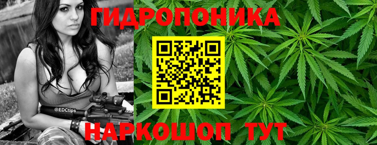 Бошки Шишки Ganja  Вход с VPN  Владимир  МАРИХУАНА конопля 